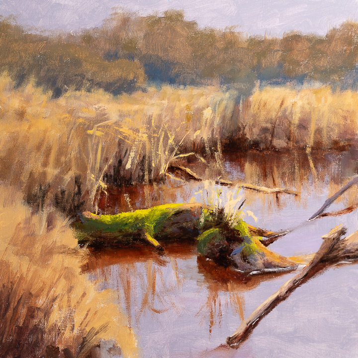 Interesting Log in a Boring Bog