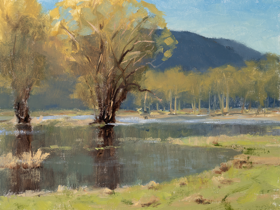 Spring Flood