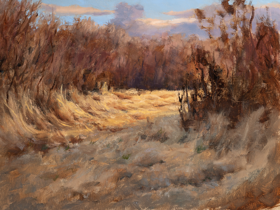 Shortest Day of the Year